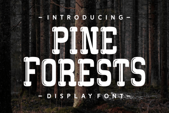 Pine Forests Font Review for Brand Designers